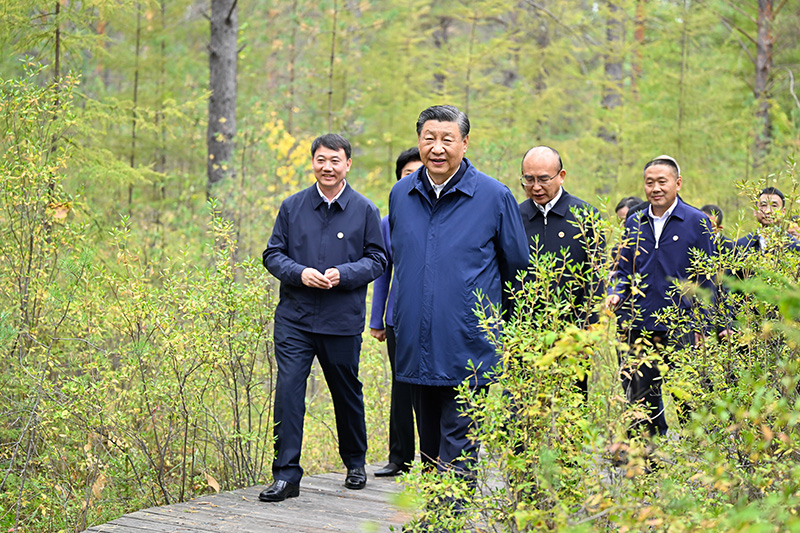 9月6日至8日，中共中央总书记、国家主席、中央军委主席习近平在黑龙江考察。这是6日下战书，习近平在大兴安岭地区漠河市漠河林场自然林区考察